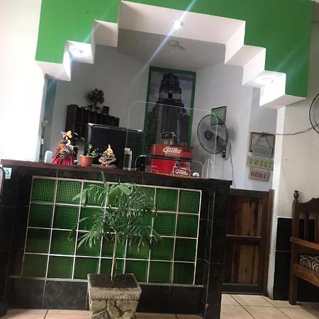Green Monkey Hostel Флорес Экстерьер фото