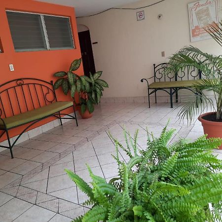 Green Monkey Hostel Флорес Экстерьер фото