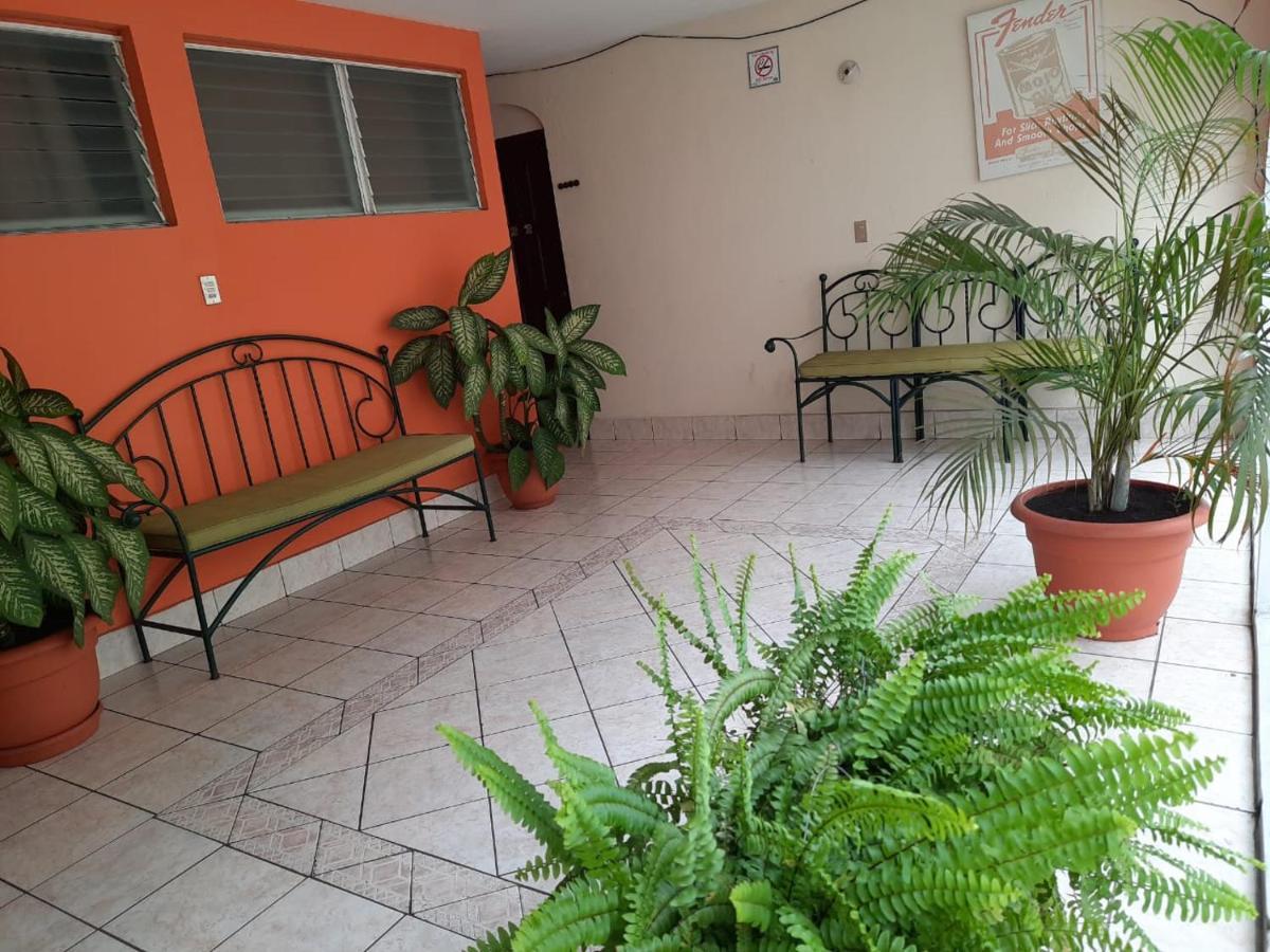 Green Monkey Hostel Флорес Экстерьер фото