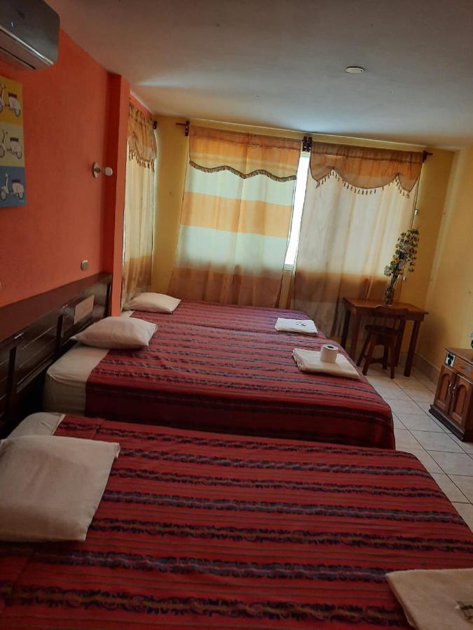 Green Monkey Hostel Флорес Экстерьер фото